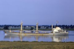 Thumbnail Image for Manuel Campos