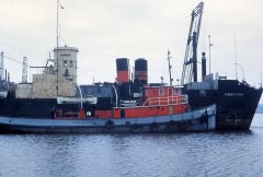 Thumbnail Image for Frank Dixon