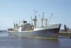 Thumbnail Image for Enugu Palm