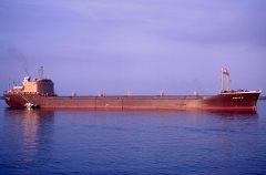 Thumbnail Image for Marly II