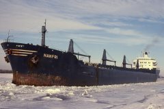 Thumbnail Image for Nanfri