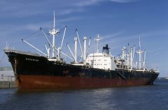 Thumbnail Image for Navarino