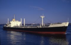 Thumbnail Image for Nicola