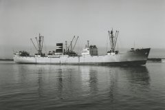 Thumbnail Image for Nordhval