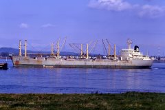 Thumbnail Image for Nordstern