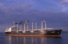 Thumbnail Image for Oceanic