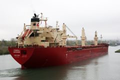 Thumbnail Image for Federal Nakagawa