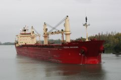 Thumbnail Image for Federal Nakagawa