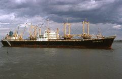 Thumbnail Image for Oceanic Amity