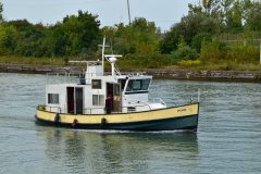 Thumbnail Image for Phoebe