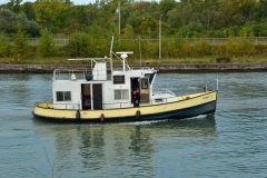 Thumbnail Image for Phoebe