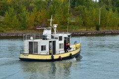 Thumbnail Image for Phoebe