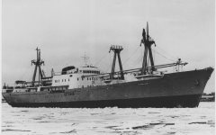 Thumbnail Image for Petunia