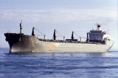 Thumbnail Image for Rolwi