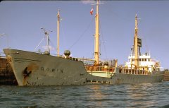 Thumbnail Image for Rowin