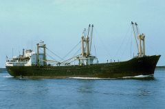 Thumbnail Image for Roy