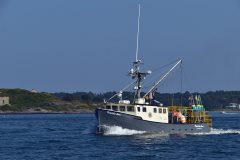 Thumbnail Image for Patricia Ann