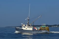 Thumbnail Image for Patricia Ann