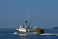 Thumbnail Image for Patricia Ann