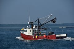 Thumbnail Image for Susan Elizabeth