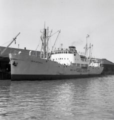 Thumbnail Image for Veslefjell