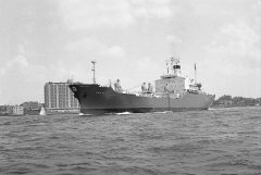 Thumbnail Image for Penta