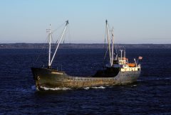 Thumbnail Image for Coudres de L'Ile oncontextmenu=