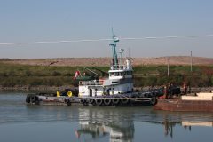 Thumbnail Image for Salvage Monarch