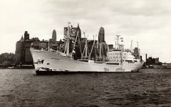 Thumbnail Image for Sagaholm