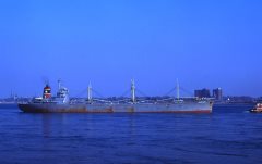 Thumbnail Image for Santa Maria