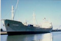 Thumbnail Image for Seahawk