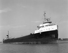 Thumbnail Image for Outarde