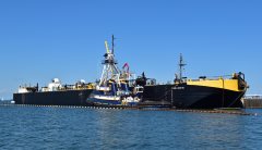 Thumbnail Image for Calusa Coast