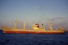 Thumbnail Image for Somerville