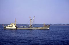 Thumbnail Image for Stavos