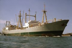 Thumbnail Image for Susaa