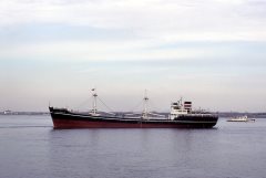 Thumbnail Image for Susan Constant