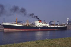 Thumbnail Image for Susana