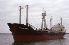 Thumbnail Image for Susanne Reith