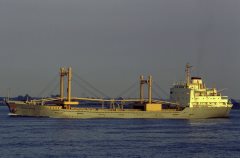 Thumbnail Image for Tropical Plywood