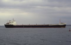 Thumbnail Image for Vainqueur