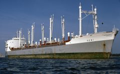 Thumbnail Image for Veni