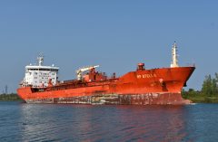 Thumbnail Image for RF Stella oncontextmenu=