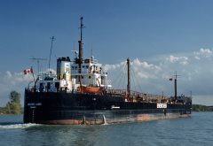 Thumbnail Image for Enerchem Laker