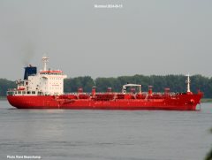 Thumbnail Image for Owl 3