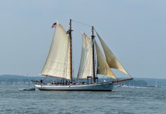 Thumbnail Image for Timberwind