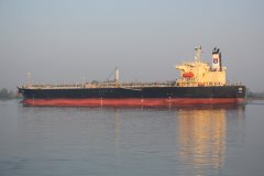 Thumbnail Image for Florence