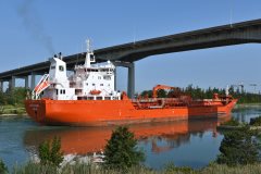 Thumbnail Image for Sten Aurora