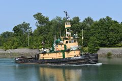 Thumbnail Image for Maureen Regina