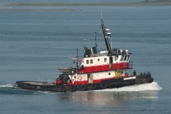 Thumbnail Image for Vigilant I oncontextmenu=